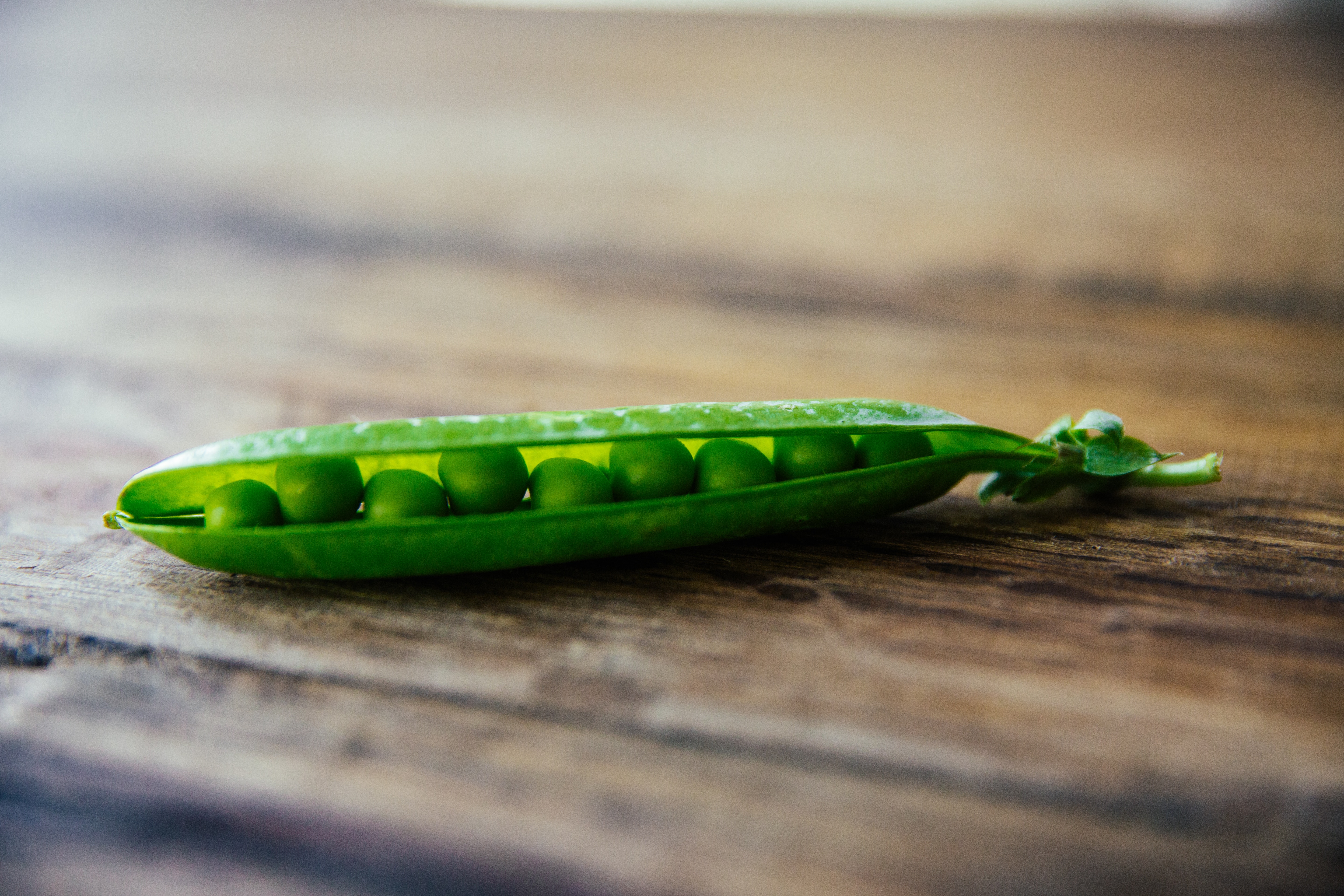 rachael-gorjestani-154907-unsplash