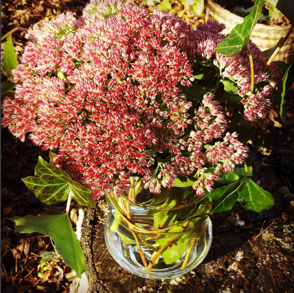 na%cc%88ytto%cc%88kuva-2016-10-09-kello-21-03-39