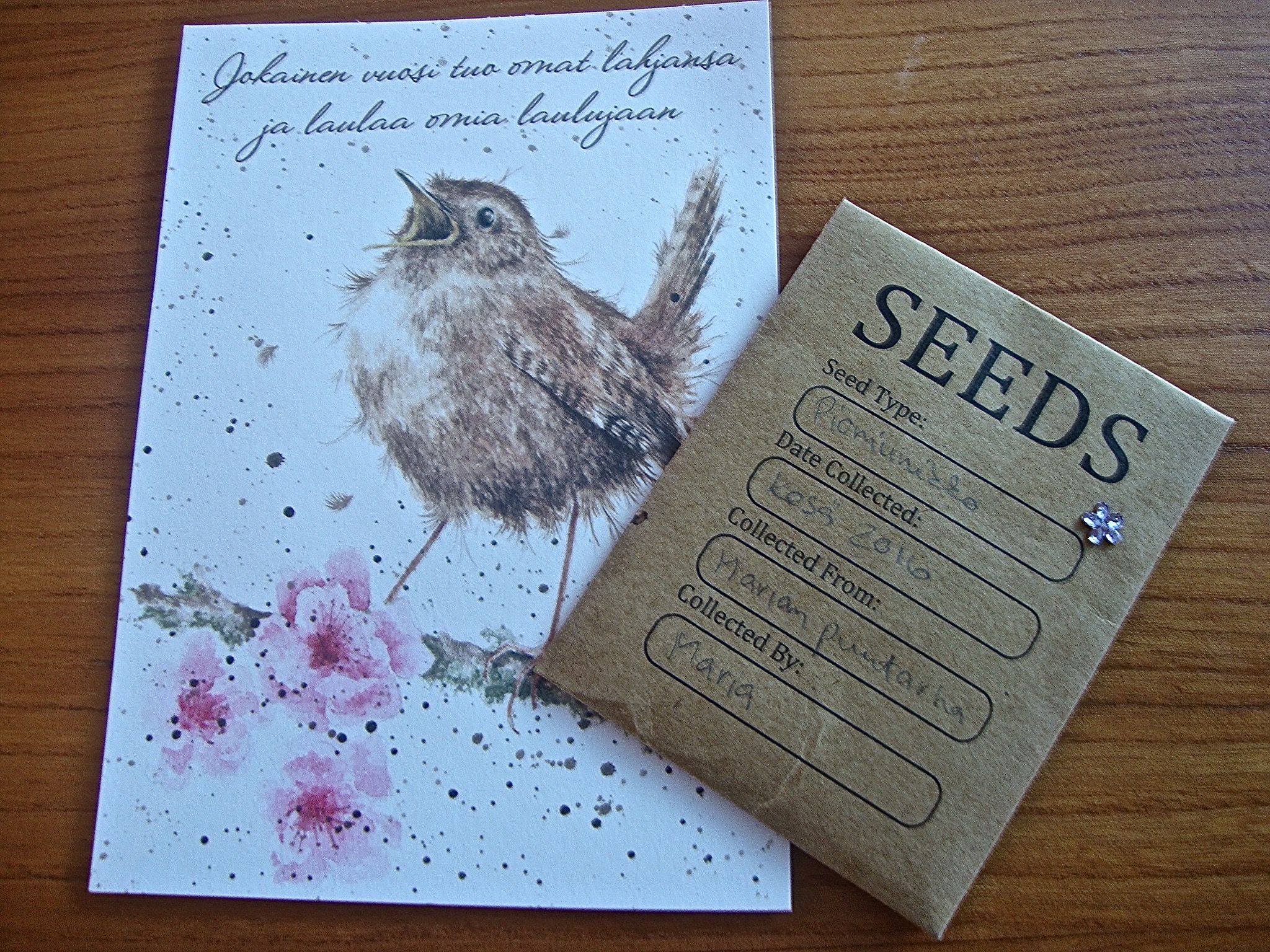 siemenlähetys, siemenvaihto, siemenyllätys, siemenkeräys