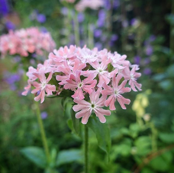 Näyttökuva 2018-11-20 kello 17.18.52