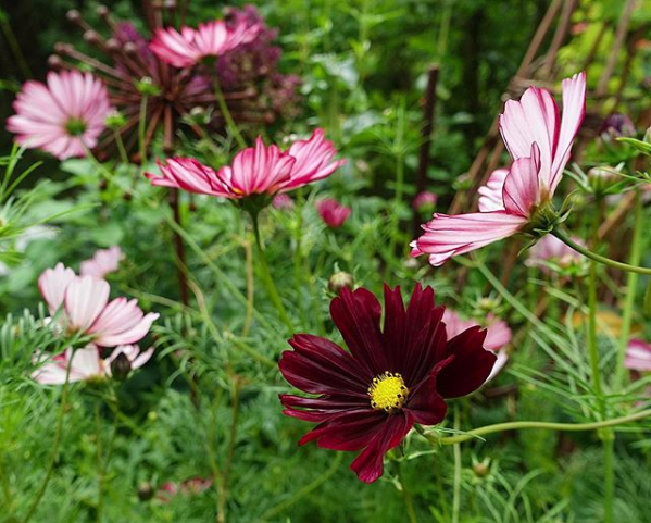 Näyttökuva 2018-11-20 kello 17.37.38