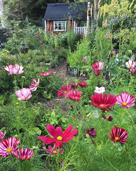 Näyttökuva 2018-11-20 kello 17.46.39